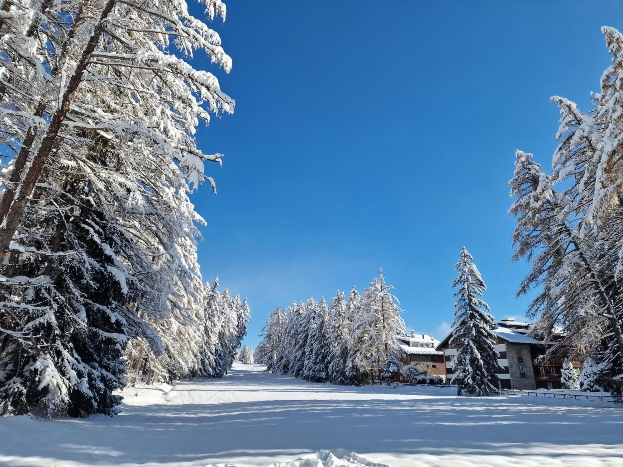 Le Carnotzet Tchiko Minimum 2 Nights Special Weekly And Monthly Prices Apartment Saviese