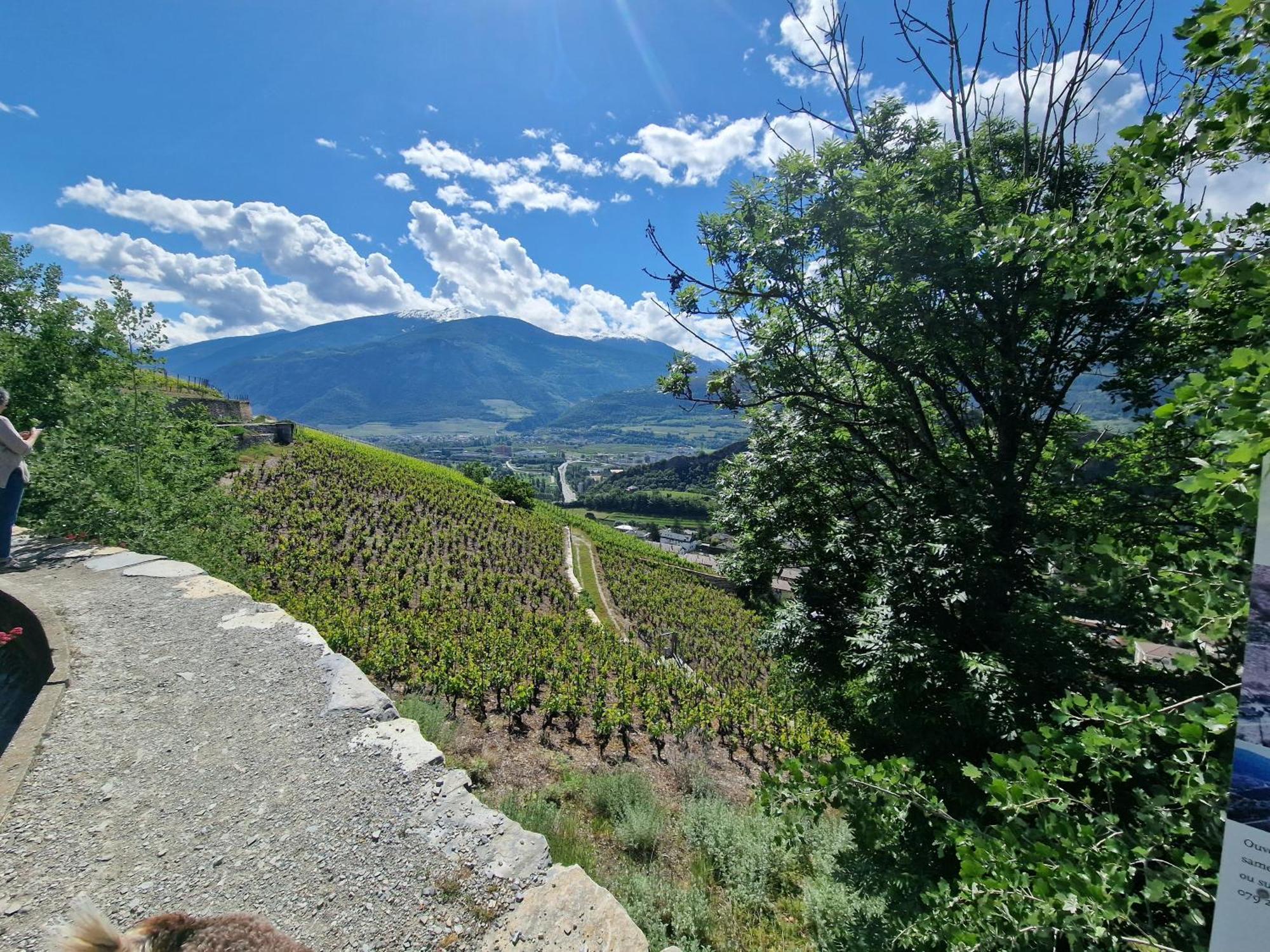 Apartment Le Carnotzet Tchiko Minimum 2 Nights Special Weekly And Monthly Prices